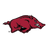 Arkansas Primary