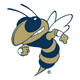 Georgia Tech Yellow Jacket