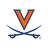 Virginia Primary